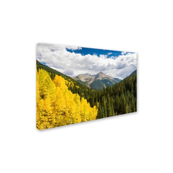 Michael Blanchette Photography 'Splash Of Gold' Canvas Art,16x24